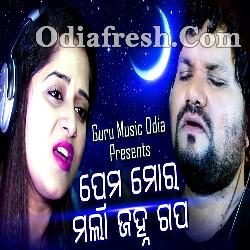 Prema Mora Mala jahna Gapa - Odia Heart Touching Sad Song
